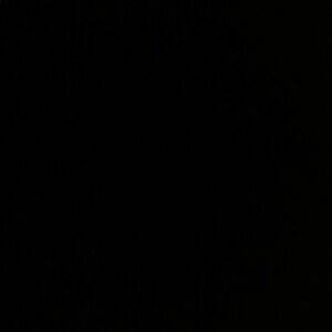 Meet your Posher, Claudia